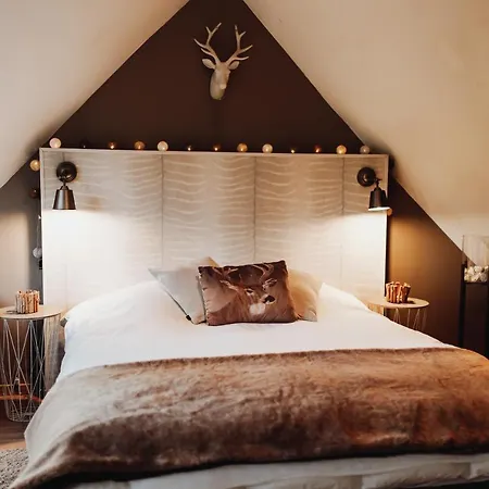 Scandinave Avec Sauna Ir - In The Woods