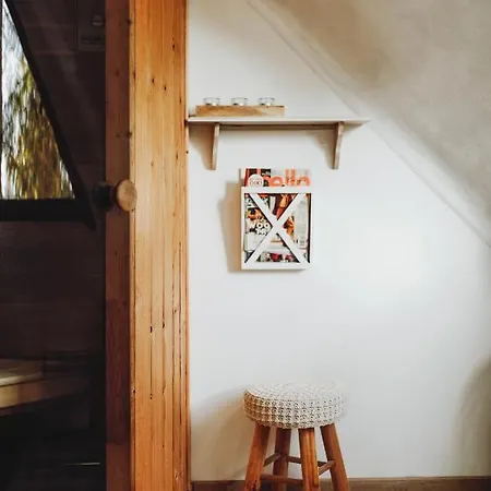 Scandinave Avec Sauna Ir - In The Woods