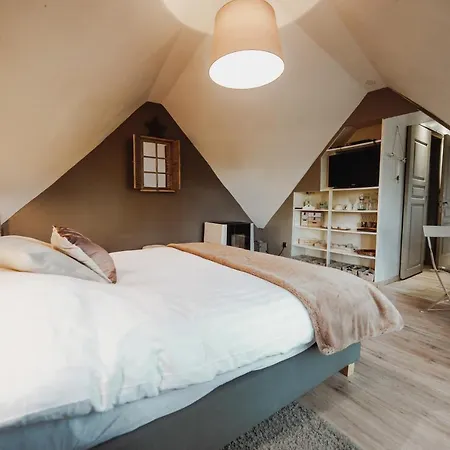 Scandinave Avec Sauna Ir - In The Woods