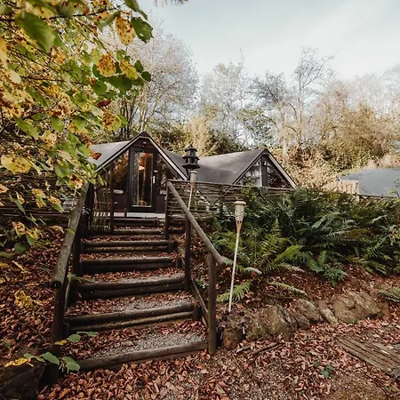 Chalet Scandinave Avec Sauna Ir - In The Woods
