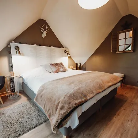 샬레 Scandinave Avec Sauna Ir - In The Woods *