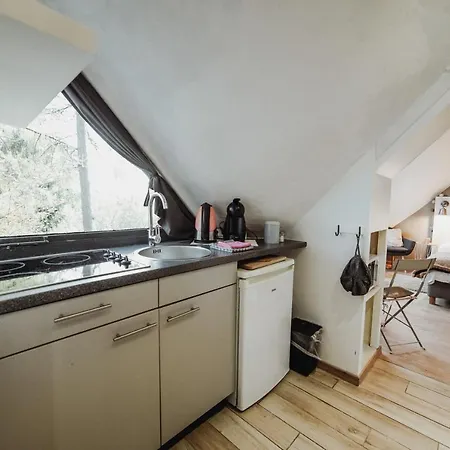 Scandinave Avec Sauna Ir - In The Woods شاليه Gesves