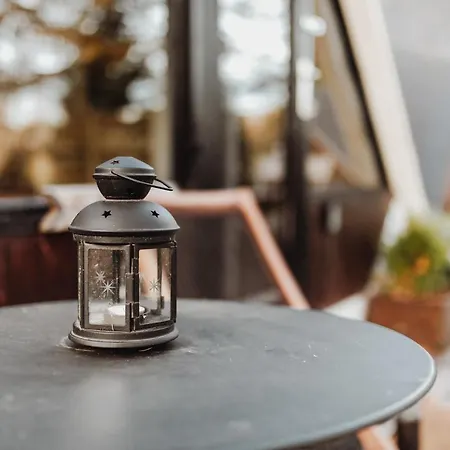 Scandinave Avec Sauna Ir - In The Woods *