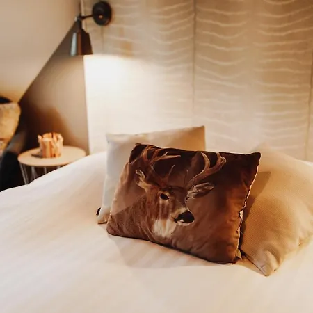 Scandinave Avec Sauna Ir - In The Woods شاليه