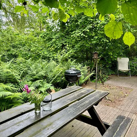 Chalet Scandinave Avec Sauna Ir - In The Woods Gesves