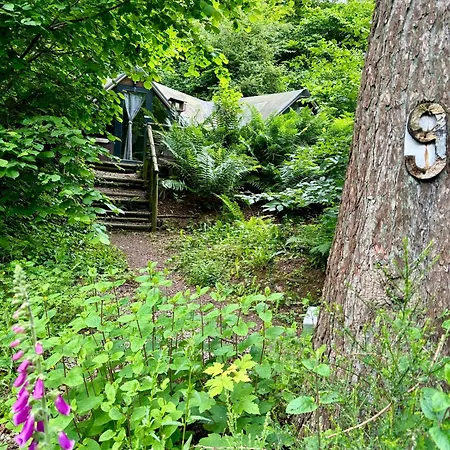 Scandinave Avec Sauna Ir - In The Woods *