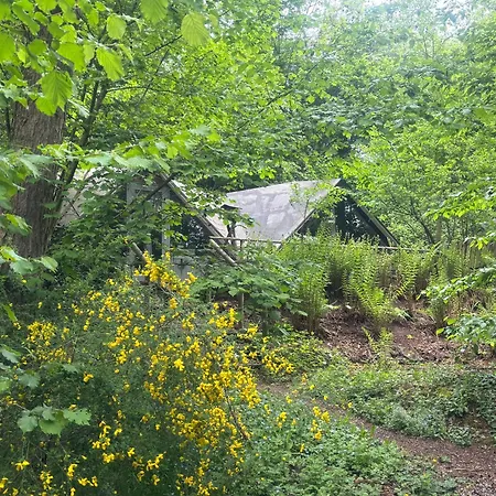 Scandinave Avec Sauna Ir - In The Woods Gesves