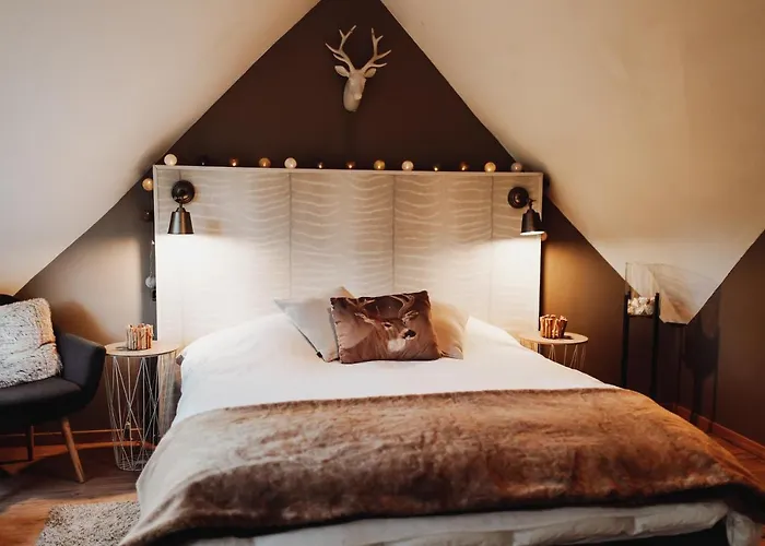 Scandinave Avec Sauna Ir - In The Woods