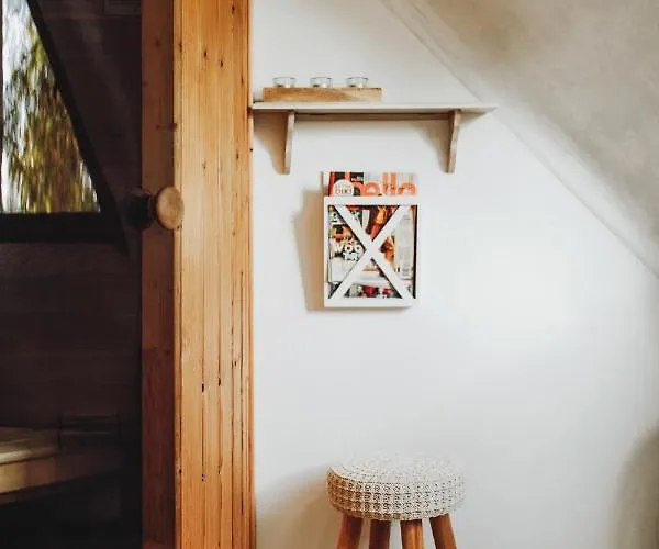 Scandinave Avec Sauna Ir - In The Woods