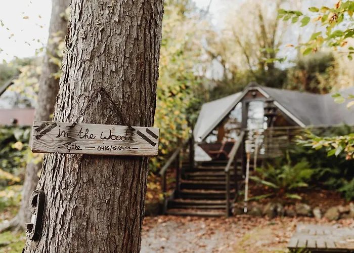 Scandinave Avec Sauna Ir - In The Woods Gesves