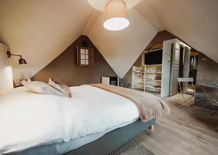 Scandinave Avec Sauna Ir - In The Woods