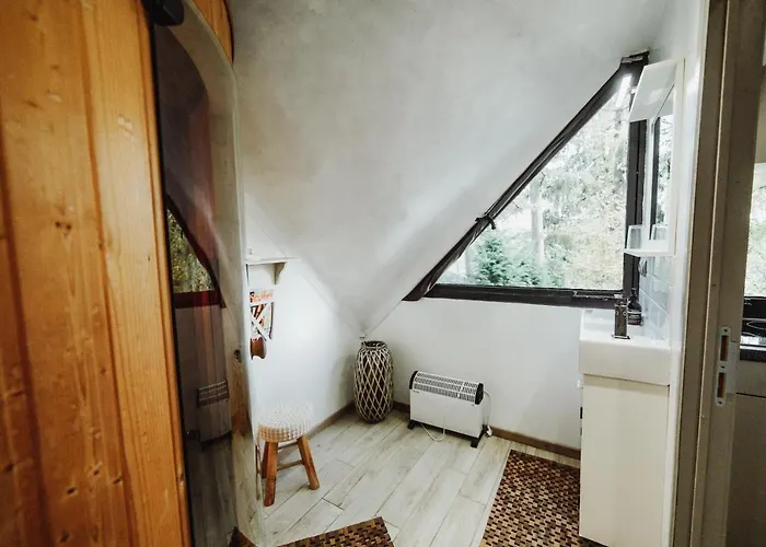 Scandinave Avec Sauna Ir - In The Woods Chalet Gesves