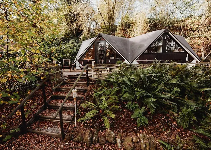 Scandinave Avec Sauna Ir - In The Woods *