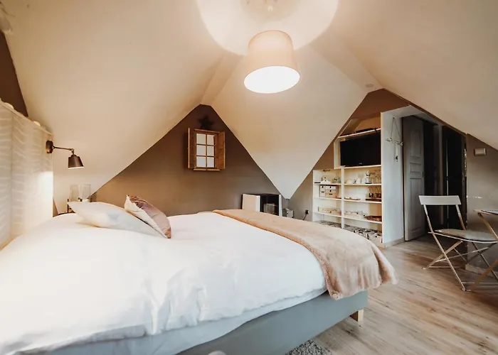 Chalet Scandinave Avec Sauna Ir - In The Woods