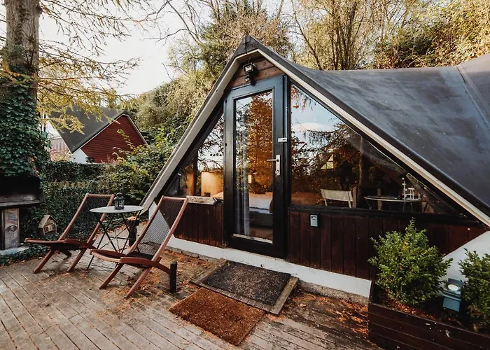 Scandinave Avec Sauna Ir - In The Woods *