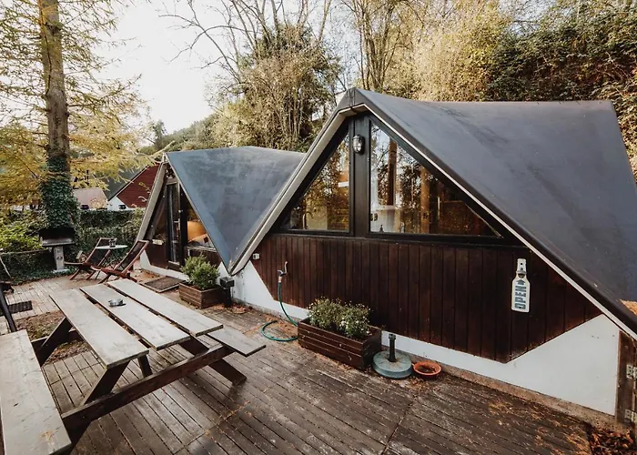 Scandinave Avec Sauna Ir - In The Woods