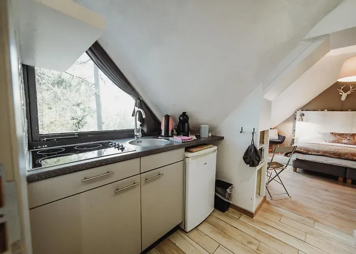 Scandinave Avec Sauna Ir - In The Woods Chalet Gesves