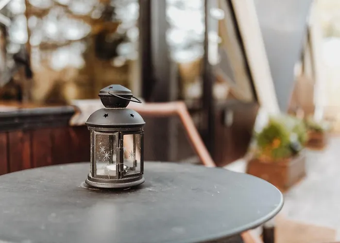 Scandinave Avec Sauna Ir - In The Woods *