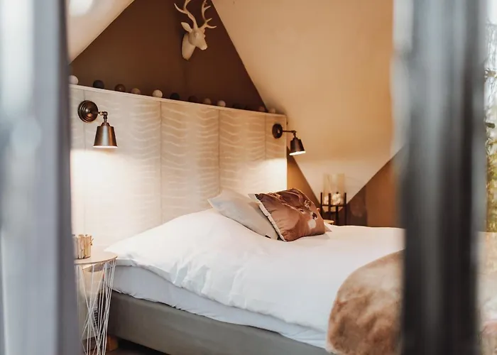 Chalet Scandinave Avec Sauna Ir - In The Woods