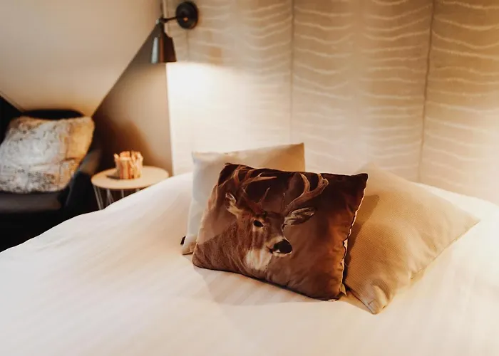 Scandinave Avec Sauna Ir - In The Woods Chalet