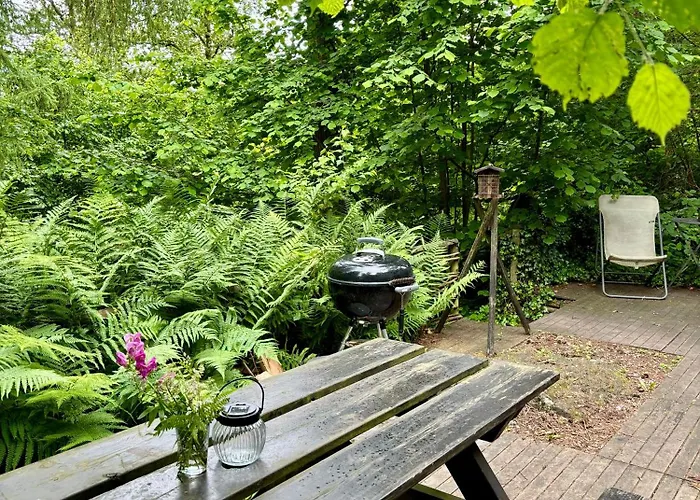 Chalet Scandinave Avec Sauna Ir - In The Woods Gesves