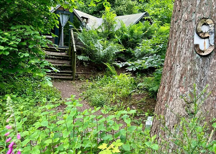 Scandinave Avec Sauna Ir - In The Woods *