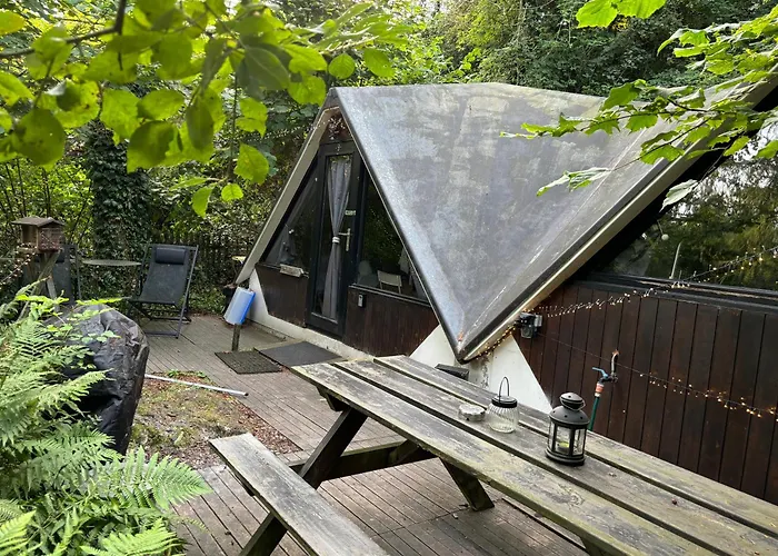 Scandinave Avec Sauna Ir - In The Woods * Gesves